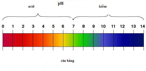Thang Bảng màu độ pH trong nước